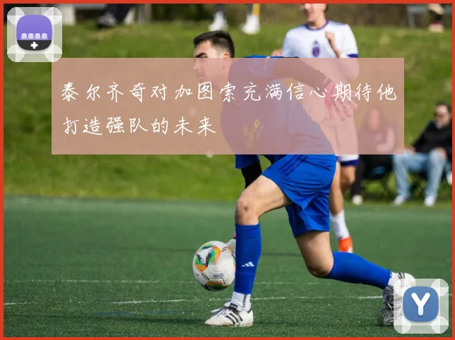 泰尔齐奇对加图索充满信心期待他打造强队的未来