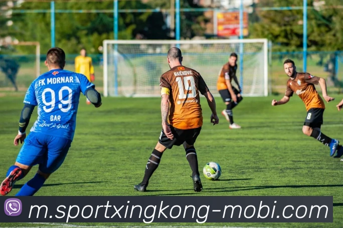 星空体育发展历程